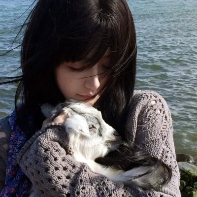 马小乐之玩具也疯狂